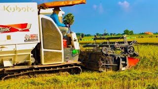 AMAZING NEW ACTION SKILLS KUBOTA DC105X HARVEST RICE [upl. by Notsirk]