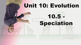 Honors Biology Unit 10  105  Speciation [upl. by Atled]