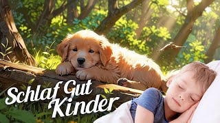 Abenteuer eines kleinen Hundes im Wald – Einschlafgeschichte für Kinder [upl. by Hselin]