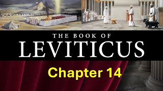 Leviticus Chapter 14 NRSV [upl. by Zoha758]