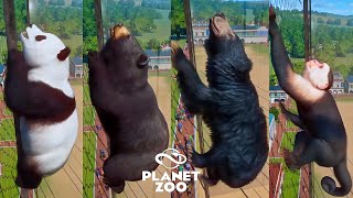 Planet Zoo Animals Escape Race Giant Panda Sloth Bear Formosan Black Bear Monkey Snow Leopard [upl. by Aurel]