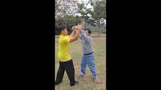 White Crane 白鶴拳  Movement from Three Battles and Basic Partner Work 三戰牽打 [upl. by Belinda]