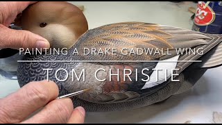 Painting a Drake Gadwall Wing [upl. by Arykat284]