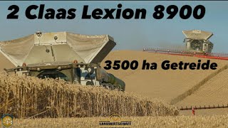 Mehr geht nicht 3500ha Getreide mit 2 Lexion 8900 amp 18000L Korntank 1380m Convio Schneidwerk 2022 [upl. by Athiste]