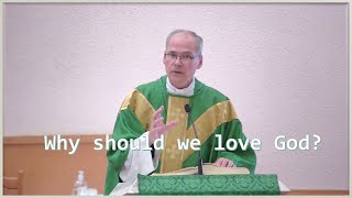 quotWhy should we love Godquot  Homily  Sunday November 3 2024  by Fr Steven [upl. by Eam]