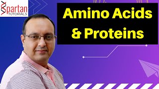 Amino Acids amp Proteins CSIR NET Life Sciences Unit 1 L04 [upl. by Arutek]