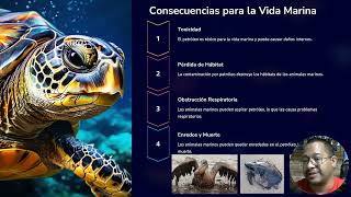 Consecuencias de los Desastres de Petróleo en el Golfo de México [upl. by Ymiaj]