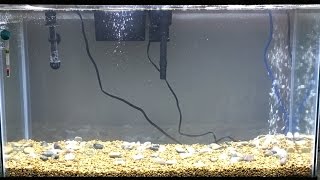 Nates New AquaCulture 29 Gallon Tank Kit Set Up [upl. by Temme336]