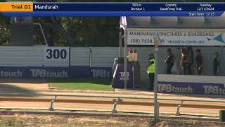 MandurahQT12112024Race1 [upl. by Rooker]