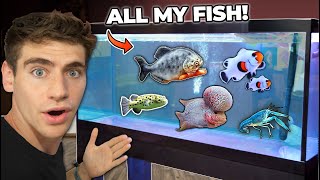 ALL MY FISH amp RARE EXOTIC ANIMALS back home tour [upl. by Mccollum490]