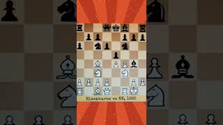 Kings Gambit Declined chess chesss chessopening chessgame [upl. by Acined]