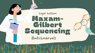 Maxam Gilbert sequencing 🧬 شرح بالعربي [upl. by Teagan]