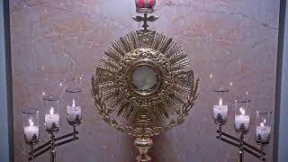 Adorecast – 247 Live Eucharistic Adoration [upl. by Bierman]