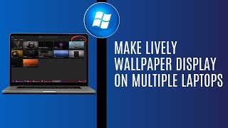 How To Make LIVELY WALLPAPER Display On Multiple Laptops Or Multiple Monitors [upl. by Mukul]