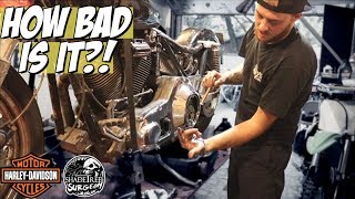 Harley Tech tells me how bad the FXR really is  1986 Harley Davidson FXR [upl. by Abbub]