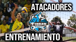 ENTRENAMIENTO 👊🏻💥 DEMOLEDOR de VOLEIBOL para ATACANTES REMATADORESPUNTASAUXILIARESBANDAS [upl. by Kliber]