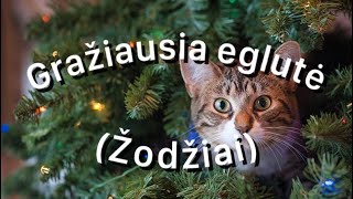 Dūmas  Gražiausia eglutė Žodžiai [upl. by Alphonsine967]