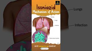 Isoniazid Mechanism of Action  AntiTB Drugs testpaperlive isoniazid tb drugs shortvideo [upl. by Auohp]