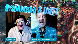 What are Ayahuasca and DMT [upl. by Notnats]