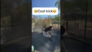 Trampoline Basketball basketball trampoline disco fun fyp like subscribe jordan4 minihoop [upl. by Ebocaj]