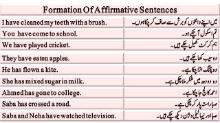 6 Affirmative Sentences Present Perfect Tense [upl. by Oiril927]