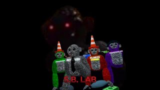 The Scary Baboon Lab OFFICAL TRAILER VIDEO [upl. by Diad715]