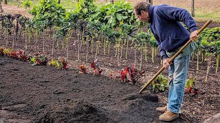 The Story Behind The Compost  Paul Gautschis Garden [upl. by Margi]