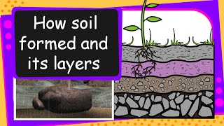 Science  Soil Formation and soil layers  English [upl. by Rodmur]