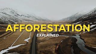 What is Afforestation  Eco Facts  One Tree Planted [upl. by Noivert]