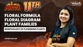 Morphology of flowering plants  Floral Formula  Floral Diagram  Plant Families  Ashima Maam [upl. by Angadresma945]