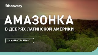 Амазонка  В дебрях Латинской Америки  Discovery Channel [upl. by Lyrrehs]