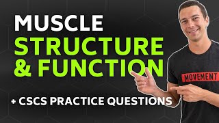 CSCS Chapter 1  Muscle Structure and Function with Practice Questions [upl. by Dunham]