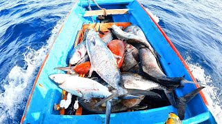 Panen ikan besar di pulau sanana kepulauan sula maluku utara PART 4  Spearfishing indonesia [upl. by Kaiser]