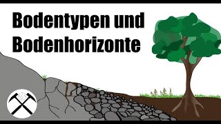 Bodentypen und Bodenhorizonte  Bodenkunde 3 ⛰️ [upl. by Akiaki]