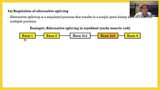 Control Of Eukaryotic Gene Expression 03 Post Transcriptional Control [upl. by Gorrono]