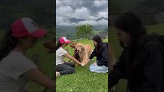 ¡ En algún lugar de Colombia  ¿Dime donde es Mira mis videos [upl. by Libna]