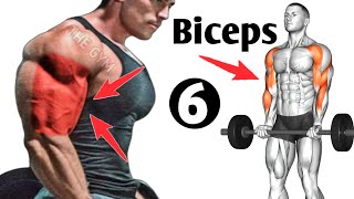 6 Bigger Biceps Exercises At Gym  Biceps Workout [upl. by Illoh]