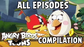 Angry Birds Toons Compilation  Season 2 All Episodes Compilation  Special Mashup [upl. by Alliw]