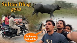 Sultan Bhag Gya  Police Ne Bhi pakadlia  BullRiderVlogs [upl. by Aicekan]