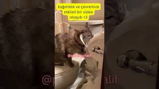 Bağımlılık ve Çevremize Etkileri Bir Video Olsaydı ❤ wwwpsikologhalilcom psikolog psikoloji [upl. by Rosina117]