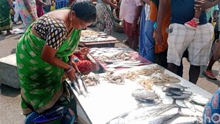 காசிமேடு மீன் விற்பனை kasimedu fish selling 🐟🐠🏊🏻‍♀️ [upl. by Corrinne]