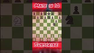 Mate in 10 l chess chronicles l shorts [upl. by Alleuqram]