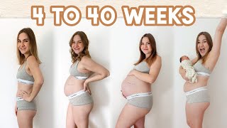 WEEK BY WEEK PREGNANT BELLY GROWTH  4 to 40 Weeks Transformation EVERY WEEK [upl. by Danais352]