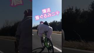 SCOTT FOIL RIO EDITION × Hideki TV Cycle部🚴最速のカーボンロードバイク愛車紹介 癖が強いスプリント🚴竹林カフェから爆速着ぐるみニキ発進 ロードバイクおすすめ [upl. by Territus740]