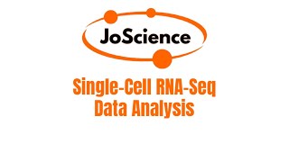 SingleCell RNASeq Data Analysis Part 1 Theory [upl. by Aniri784]