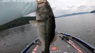 LEDGE FISHING On LAKE GUNTERSVILLE [upl. by Eserrehs]