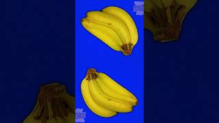 Apples and Bananas song BabyBigMouth shorts  funny dancemusic kidssong apple banana [upl. by Acinej]