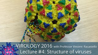 Virology Lectures 2016 4 Structure of viruses [upl. by Tuinenga]