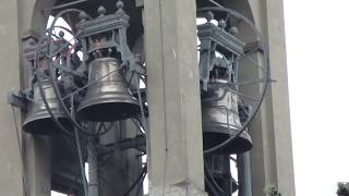 I Campanari Ambrosiani suonano le campane di Brianzola LC chiesa di S Lorenzo  1 [upl. by Kamilah]