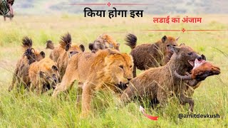 जंगलों ये दुनिया जितनी खूबसूरत हैं उतनी ही खतरनाक amitdevkush33 [upl. by Aretak110]